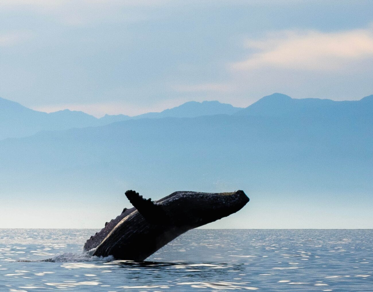 Kaikoura